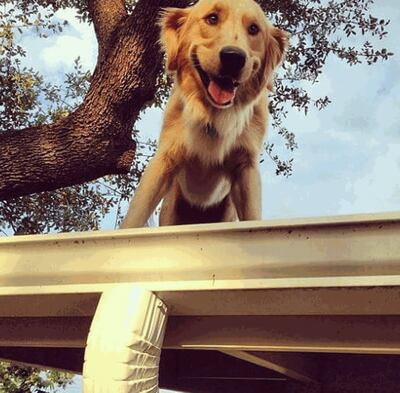 /pf/resources/images/abc-placeholder.png?d=2399