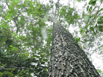 /pf/resources/images/abc-placeholder.png?d=2398