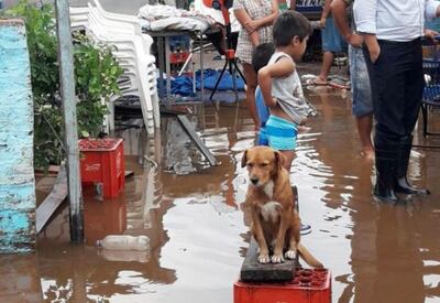 /pf/resources/images/abc-placeholder.png?d=2421