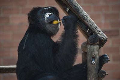 /pf/resources/images/abc-placeholder.png?d=2419