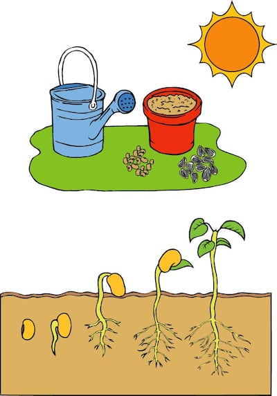 /pf/resources/images/abc-placeholder.png?d=2393