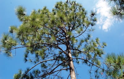 /pf/resources/images/abc-placeholder.png?d=2394