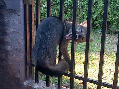 /pf/resources/images/abc-placeholder.png?d=2425