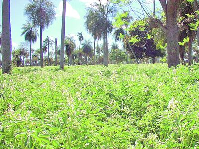 /pf/resources/images/abc-placeholder.png?d=2394