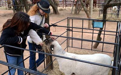 /pf/resources/images/abc-placeholder.png?d=2393