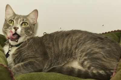 /pf/resources/images/abc-placeholder.png?d=2419