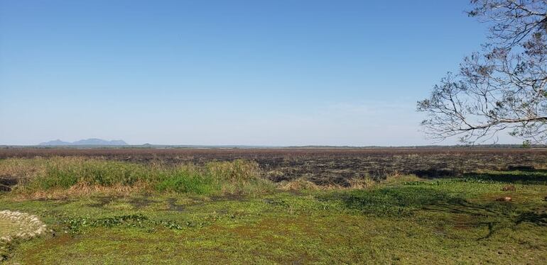 Continúa incendio en los humedales del Ypoá.