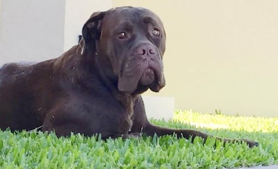 /pf/resources/images/abc-placeholder.png?d=2393