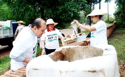 Cordillera elimina criaderos.