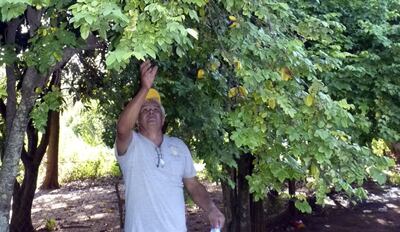 Imagen sin descripción