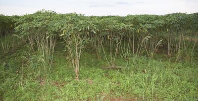 /pf/resources/images/abc-placeholder.png?d=2394