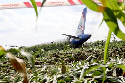 El avión de Ural Airlines en el campo de maíz, cerca de Moscú.