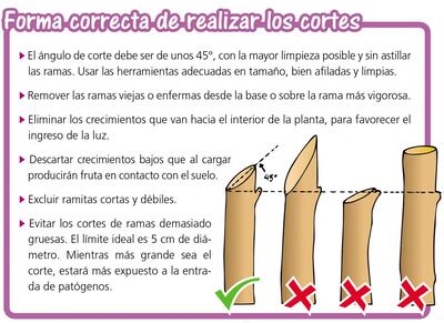 /pf/resources/images/abc-placeholder.png?d=2425