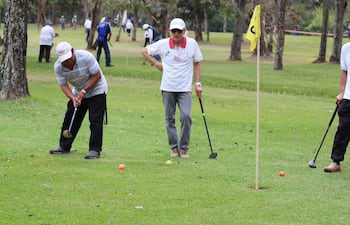 el-torneo-panamericano-de-park-golf-organizado-por-la-comunidad-nikkei-del-distrito-de-yguazu-reunio-a-mas-de-230-competidores-la-actividad-tuvo-luga-202544000000-1618017.jpg