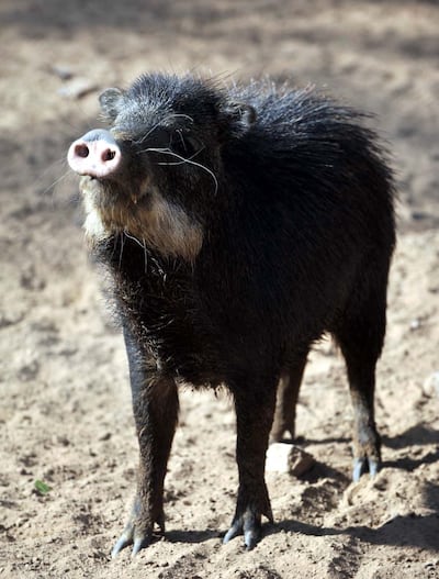 /pf/resources/images/abc-placeholder.png?d=2395