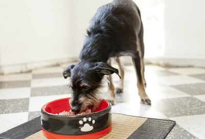 /pf/resources/images/abc-placeholder.png?d=2422