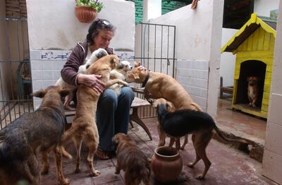 /pf/resources/images/abc-placeholder.png?d=2393