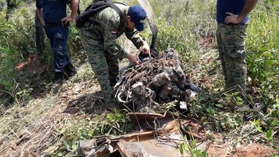 Agentes policiales verifican la zona donde se desplomó la nave.