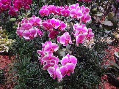 /pf/resources/images/abc-placeholder.png?d=2429