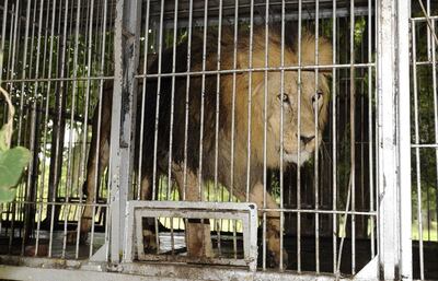 /pf/resources/images/abc-placeholder.png?d=2393