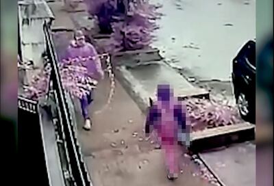 Imágenes del intento de robo a una menor.