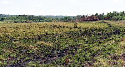 Los pobladores denunciaron que el área de humedal del arroyo Naranjo incluso fue quemada hace unos días.