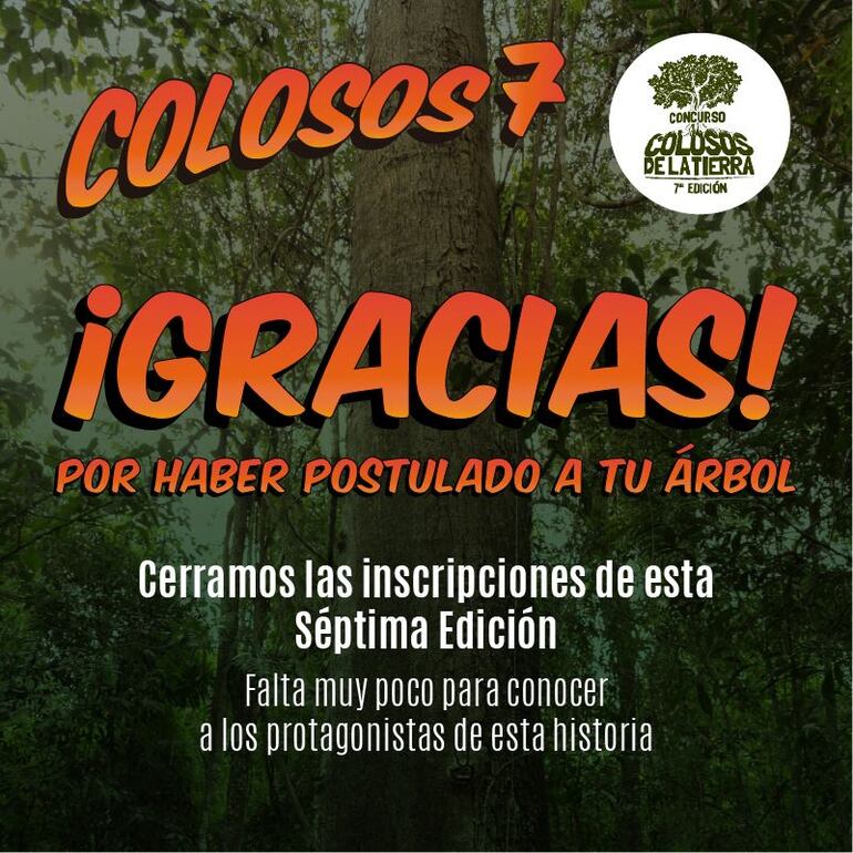 /pf/resources/images/abc-placeholder.png?d=2410