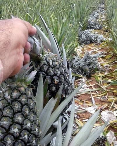 /pf/resources/images/abc-placeholder.png?d=2429