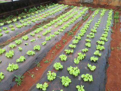 /pf/resources/images/abc-placeholder.png?d=2420