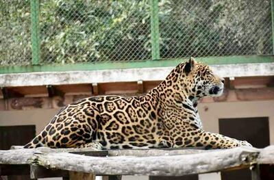 /pf/resources/images/abc-placeholder.png?d=2429