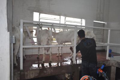 /pf/resources/images/abc-placeholder.png?d=2395