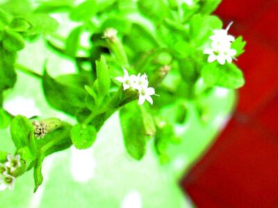 /pf/resources/images/abc-placeholder.png?d=2420