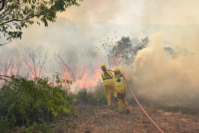 Trabajo de bomberos en Bolivia para detener las llamas, en zona fronteriza con Paraguay.