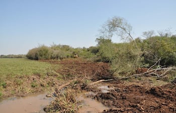 el-arroyo-tarumai-es-un-importante-curso-de-agua-que-corre-entre-los-distritos-de-la-paz-y-san-pedro-del-parana-pero-su-proteccion-natural-esta-si-193200000000-1366518.jpg