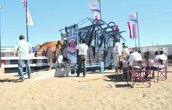 expo-santa-rita-101841000000-409415.jpg