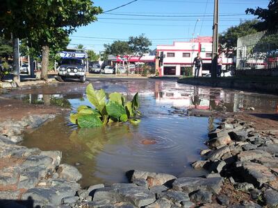 /pf/resources/images/abc-placeholder.png?d=2420