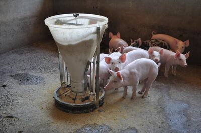 /pf/resources/images/abc-placeholder.png?d=2425