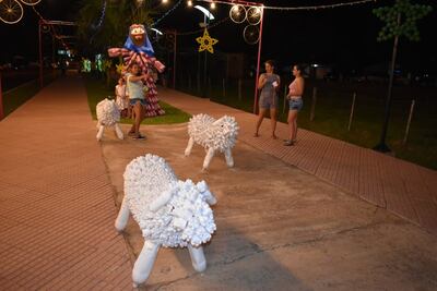 Pequeñas y tiernas ovejas, también se alinean para rendir tributo al recién nacido y a su vez para recibir a los visitantes.