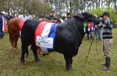 /pf/resources/images/abc-placeholder.png?d=2393