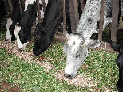 /pf/resources/images/abc-placeholder.png?d=2425