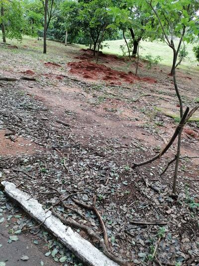 /pf/resources/images/abc-placeholder.png?d=2399