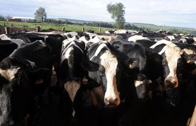 /pf/resources/images/abc-placeholder.png?d=2395