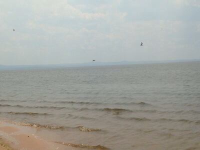 /pf/resources/images/abc-placeholder.png?d=2393