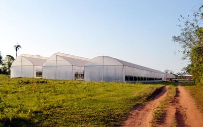 En la quinta de Miguel  Robles se observan invernaderos nuevos, mientras en  centros educativos de la Gobernación de Central no se realizaron las obras, pese a   desembolsos millonarios.