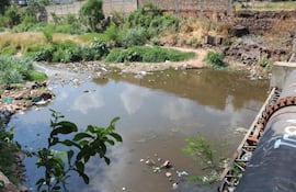 mburicao-230537000000-515120.JPG