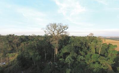 /pf/resources/images/abc-placeholder.png?d=2395