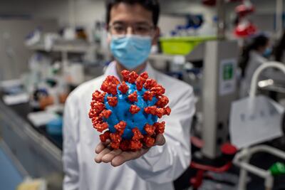 Un científico muestra un modelo de plástico del nuevo coronavirus en un laboratorio en Pekín, China.