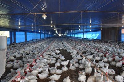 /pf/resources/images/abc-placeholder.png?d=2420