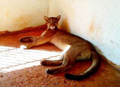 /pf/resources/images/abc-placeholder.png?d=2425