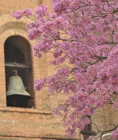 /pf/resources/images/abc-placeholder.png?d=2429